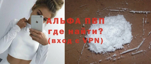 стаф Абинск