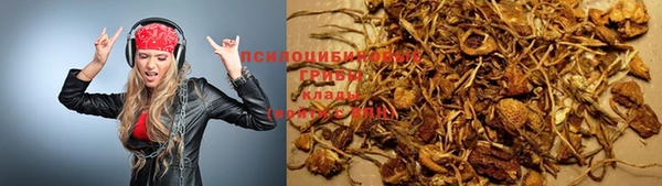 стаф Абинск